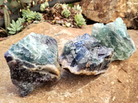 Natural Watermelon Fluorite Cobbed Specimens x 6 From Uis, Namibia