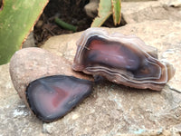 Polished On One Side Red Sashe River Agate Nodules x 6 From Zimbabwe