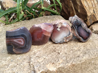 Polished On One Side Red Sashe River Agate Nodules x 6 From Zimbabwe