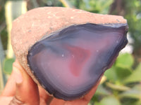 Polished On One Side Red Sashe River Agate Nodules x 6 From Zimbabwe