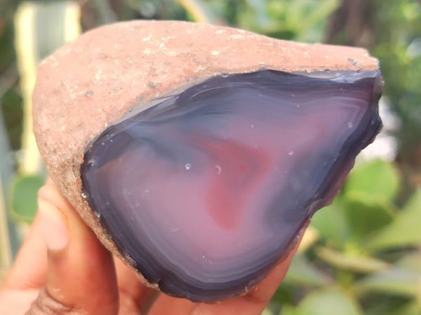 Polished On One Side Red Sashe River Agate Nodules x 6 From Zimbabwe