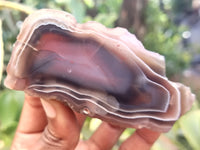 Polished On One Side Red Sashe River Agate Nodules x 6 From Zimbabwe