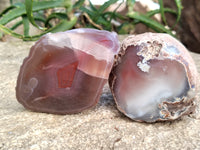 Polished On One Side Red Sashe River Agate Nodules x 6 From Zimbabwe