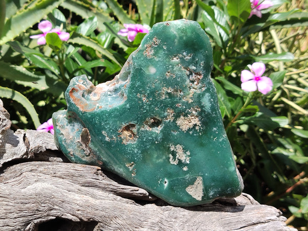 Polished On One Side Emerald Mtorolite Plates x 3 From Mutorashanga, Zimbabwe