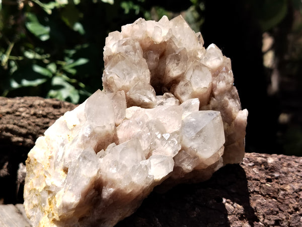 Natural Smokey Phantom Quartz Clusters x 2 From Luena, Congo