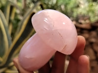 Polished Rose Quartz Mushrooms x 5 From Madagascar