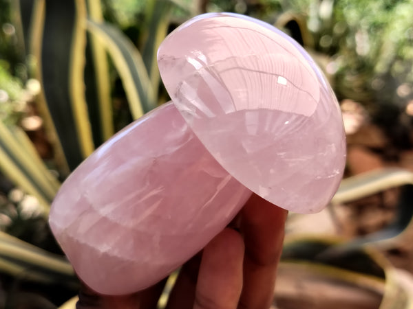 Polished Rose Quartz Mushrooms x 5 From Madagascar