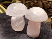 Polished Rose Quartz Mushrooms x 5 From Madagascar