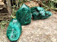 Polished Flower Banded Malachite Free Forms x 12 From Congo