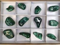 Polished Flower Banded Malachite Free Forms x 12 From Congo