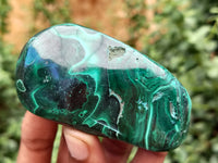 Polished Flower Banded Malachite Free Forms x 12 From Congo