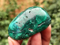 Polished Flower Banded Malachite Free Forms x 12 From Congo