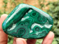 Polished Flower Banded Malachite Free Forms x 12 From Congo