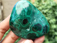 Polished Flower Banded Malachite Free Forms x 12 From Congo