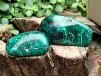 Polished Flower Banded Malachite Free Forms x 12 From Congo