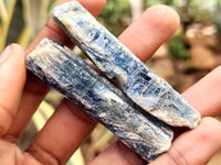 Natural Kyanite Crystals x 90 From Zimbabwe