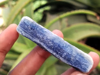 Natural Kyanite Crystals x 90 From Zimbabwe