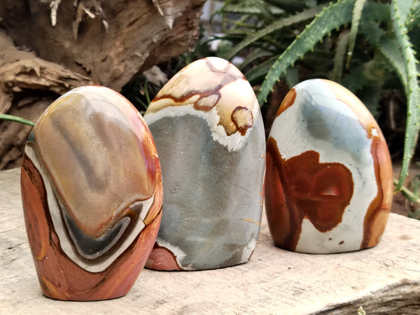 Polished Polychrome Jasper Standing Free Forms x 3 From Mahajanga, Madagascar