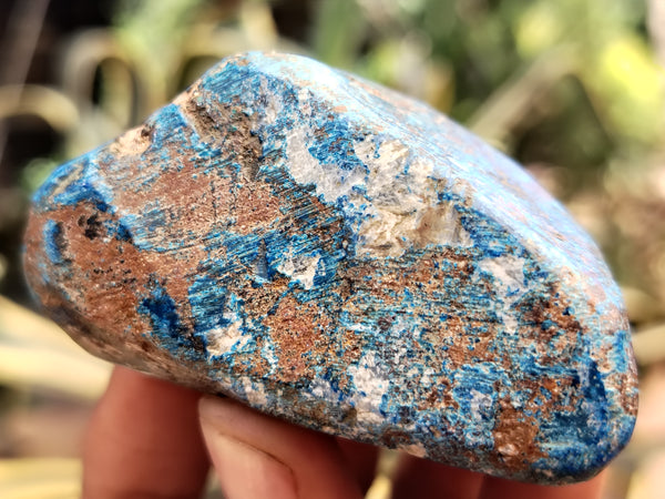 Polished Shattuckite with Azurite and Chrysocolla Free Forms x 7 From Congo