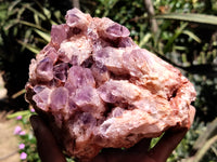 Natural Sugar Amethyst Phantom Quartz Clusters x 2 from Solwezi, Zambia