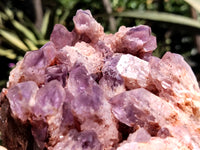 Natural Sugar Amethyst Phantom Quartz Clusters x 2 from Solwezi, Zambia