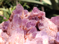 Natural Sugar Amethyst Phantom Quartz Clusters x 2 from Solwezi, Zambia