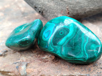 Polished Flower Banded Malachite Free Forms x 12 From Congo