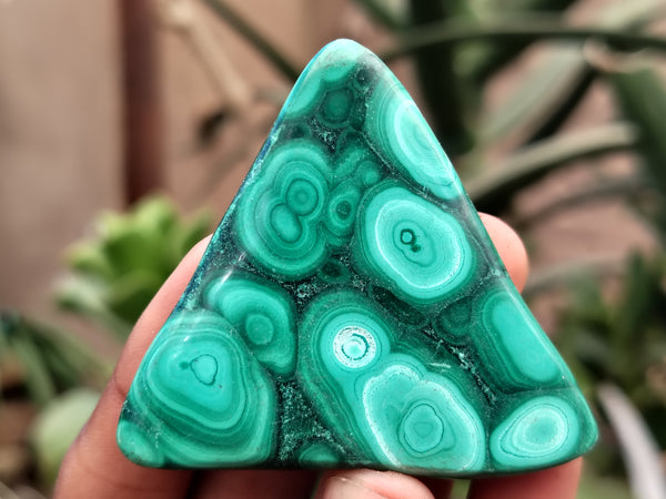 Polished Flower Banded Malachite Free Forms x 12 From Congo