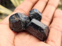 Natural Alluvial Schorl Black Tourmaline Crystals x 179 From Zimbabwe