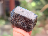 Natural Alluvial Schorl Black Tourmaline Crystals x 179 From Zimbabwe