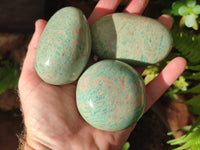 Polished Amazonite Free Forms x 12 From Madagascar