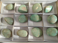 Polished Amazonite Free Forms x 12 From Madagascar