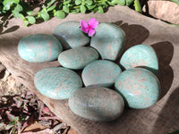 Polished Amazonite Free Forms x 12 From Madagascar