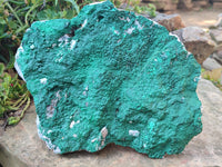 Natural Botryoidal Malachite Specimen x 1 From Congo