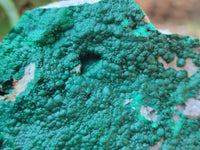 Natural Botryoidal Malachite Specimen x 1 From Congo