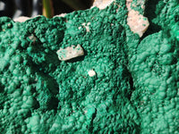 Natural Botryoidal Malachite Specimen x 1 From Congo