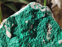 Natural Botryoidal Malachite Specimen x 1 From Congo