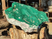 Natural Botryoidal Malachite Specimen x 1 From Congo