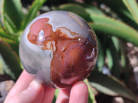 Polished Polychrome Jasper Spheres x 6 From Mahajanga, Madagascar