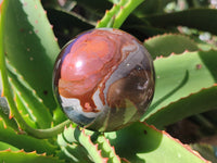 Polished Polychrome Jasper Spheres x 6 From Mahajanga, Madagascar