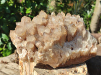 Natural Smokey Phantom Quartz Cluster x 1 From Luena, Congo