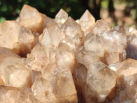 Natural Smokey Phantom Quartz Cluster x 1 From Luena, Congo