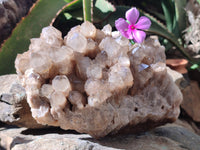 Natural Smokey Phantom Quartz Cluster x 1 From Luena, Congo