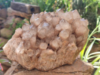 Natural Smokey Phantom Quartz Cluster x 1 From Luena, Congo