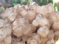 Natural Smokey Phantom Quartz Cluster x 1 From Luena, Congo