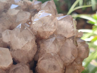 Natural Smokey Phantom Quartz Cluster x 1 From Luena, Congo