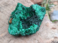 Natural Silky Malachite Specimens x 12 From Kasompe, Congo