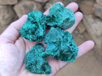 Natural Silky Malachite Specimens x 12 From Kasompe, Congo