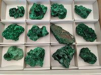 Natural Silky Malachite Specimens x 12 From Kasompe, Congo