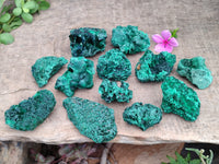 Natural Silky Malachite Specimens x 12 From Kasompe, Congo